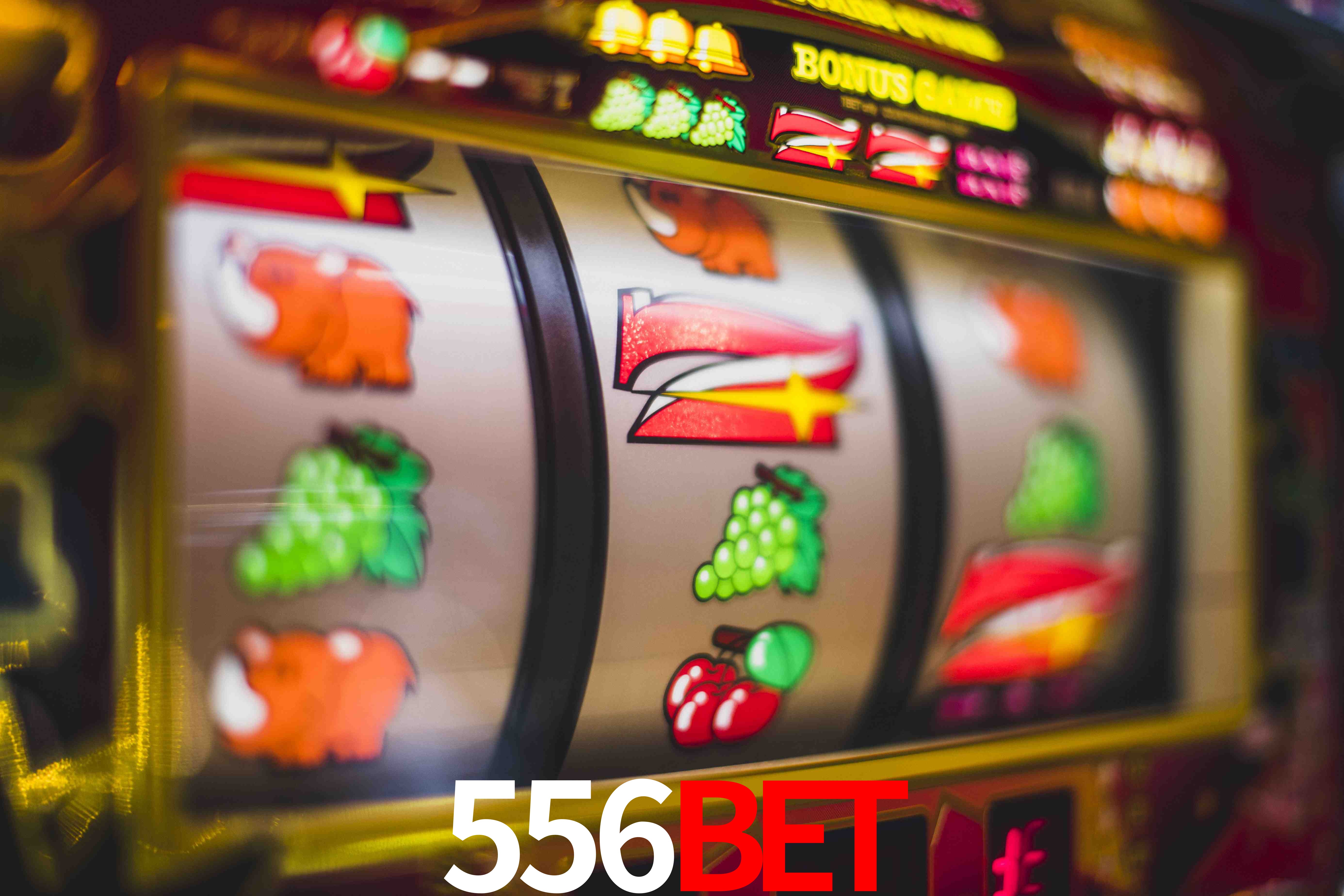 Tennis Betting 556BET