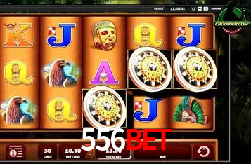 Apostas Esportivas na 556BET: Um Guia Completo